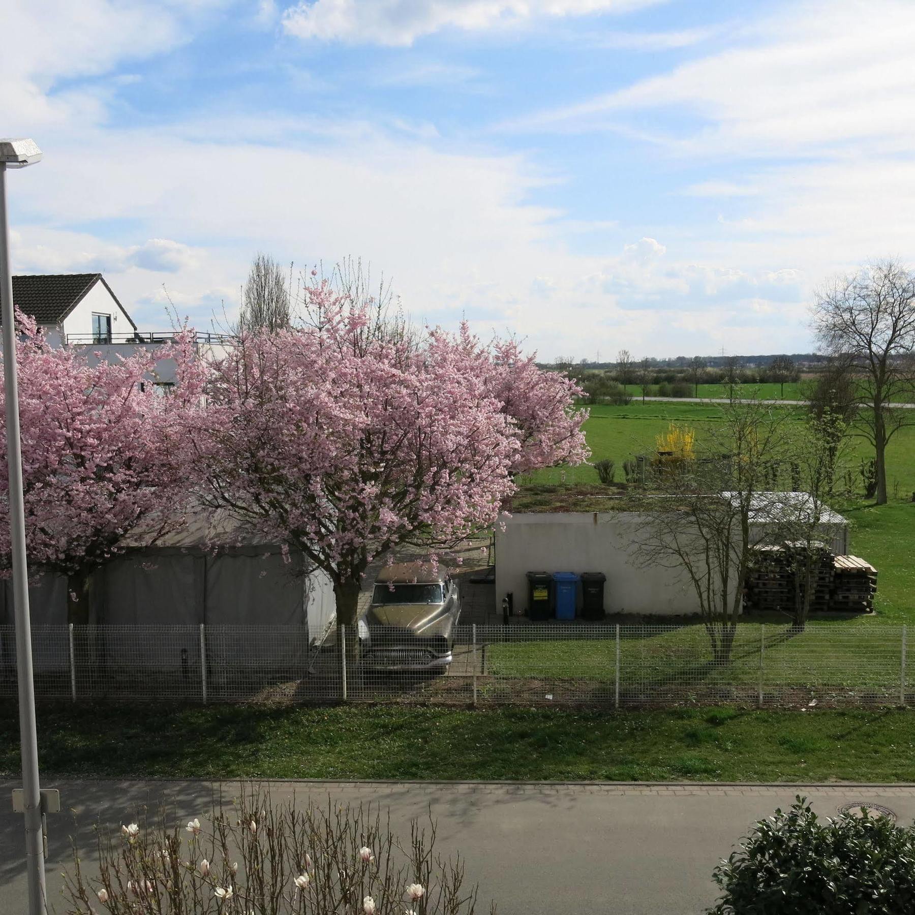Hotel Ackermann Riedstadt ภายนอก รูปภาพ