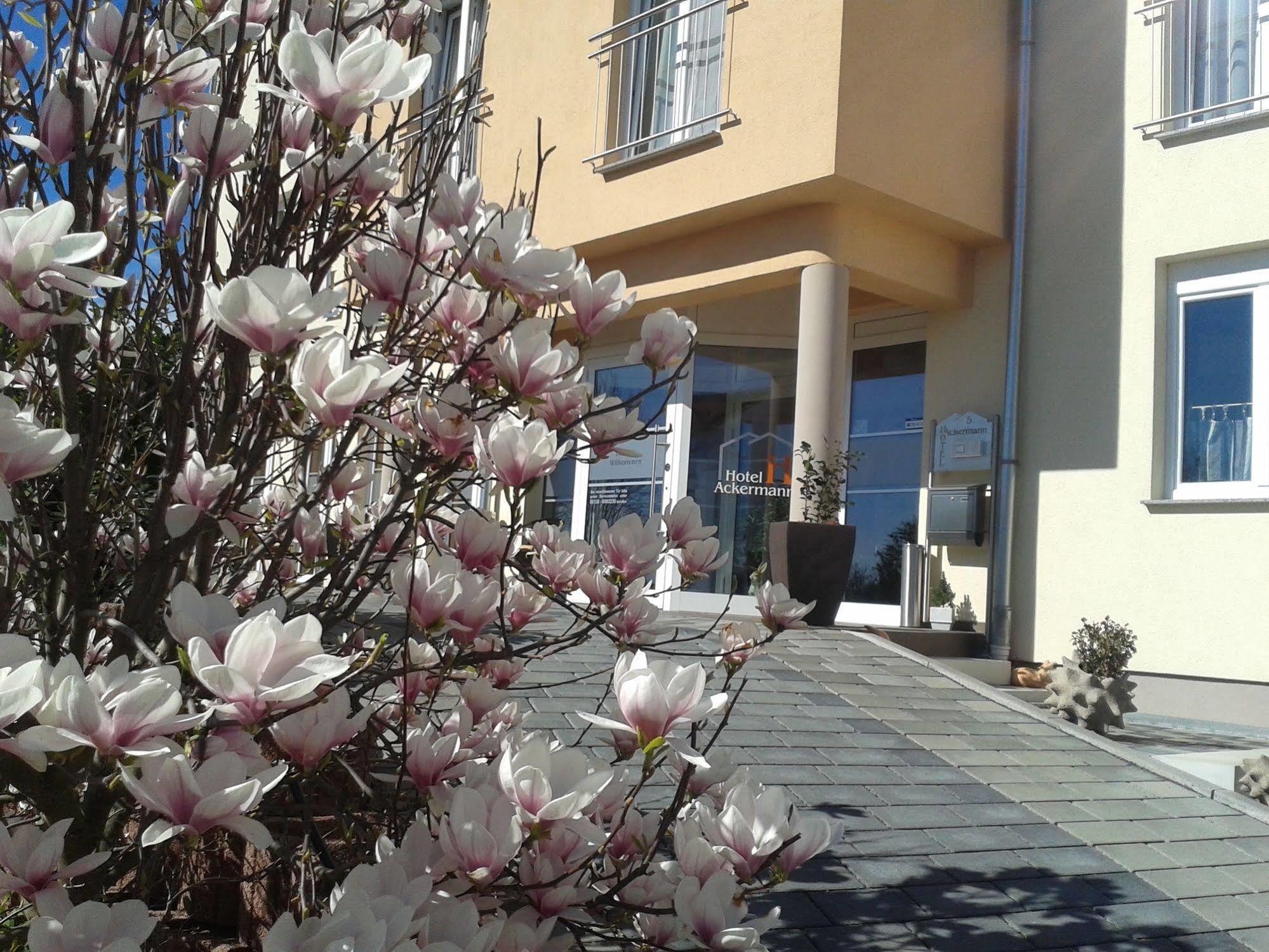 Hotel Ackermann Riedstadt ภายนอก รูปภาพ